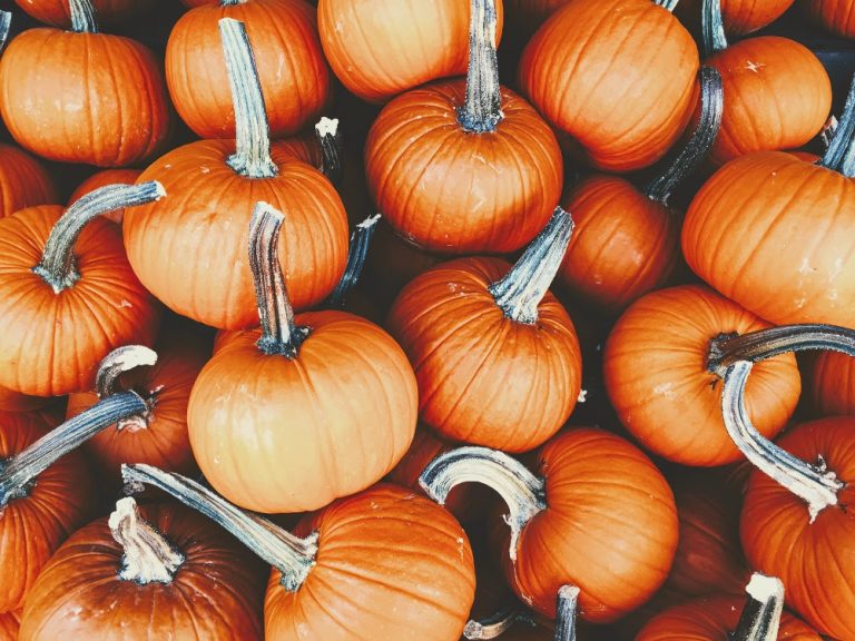 Fall Bucket List: 25 FREE, Festive, and Fun Activities To Try This Fall