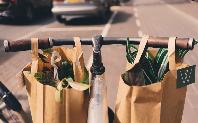 The Best Grocery Delivery Services For Your Budget